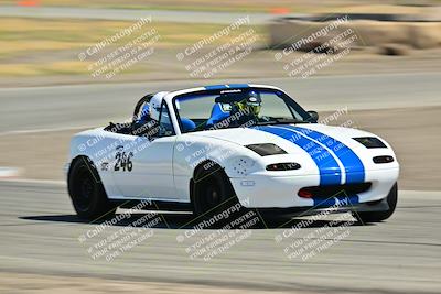 media/May-24-2025-Turn8 Trackdays (Sat) [[034586b55d]]/2 Advanced 1/Session 2 (Cotton Corners-Grapevine)/